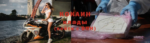 стаф Нея