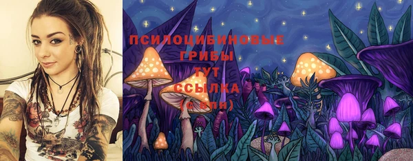стаф Нея