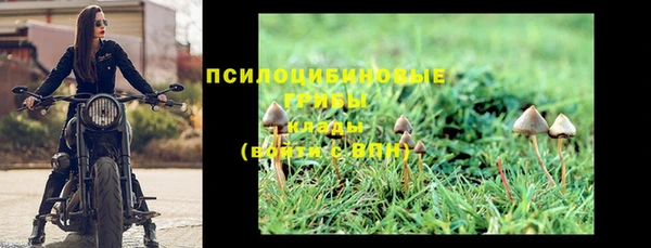 PSILOCYBIN Алексеевка