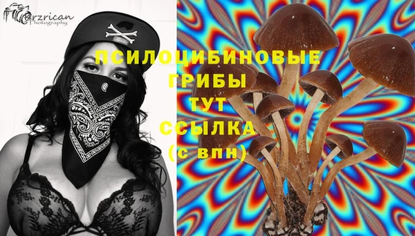 стаф Нея